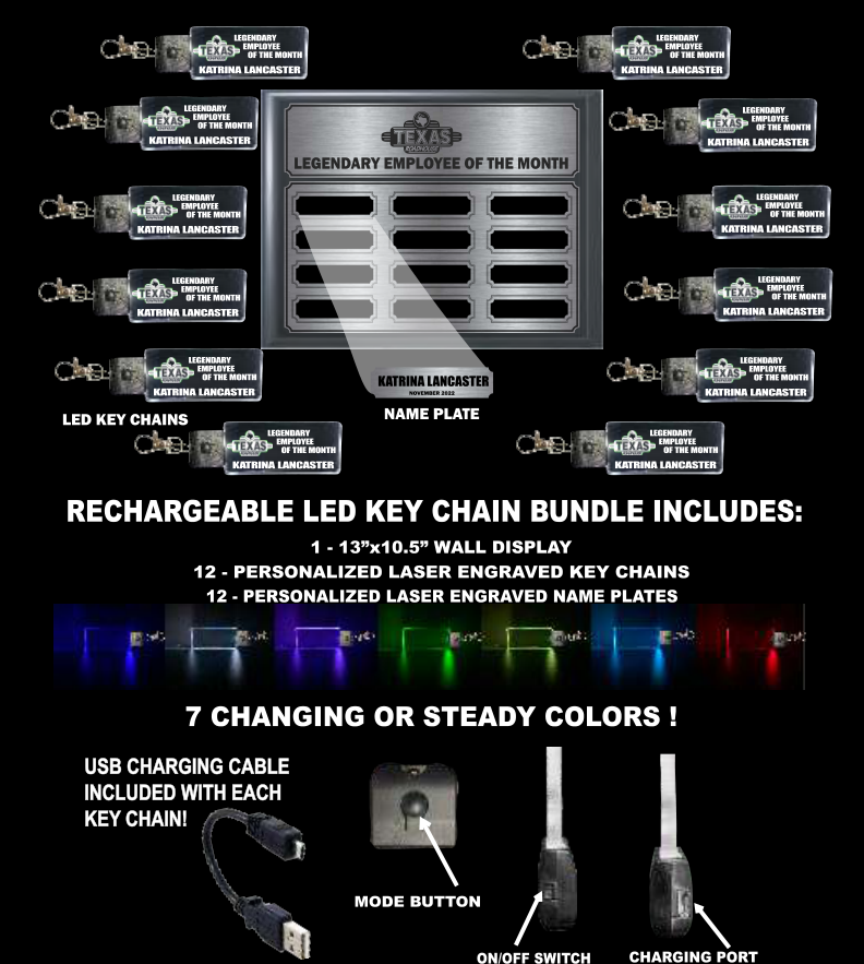 Employee of the Month — Rechargeable LED Key Chains
